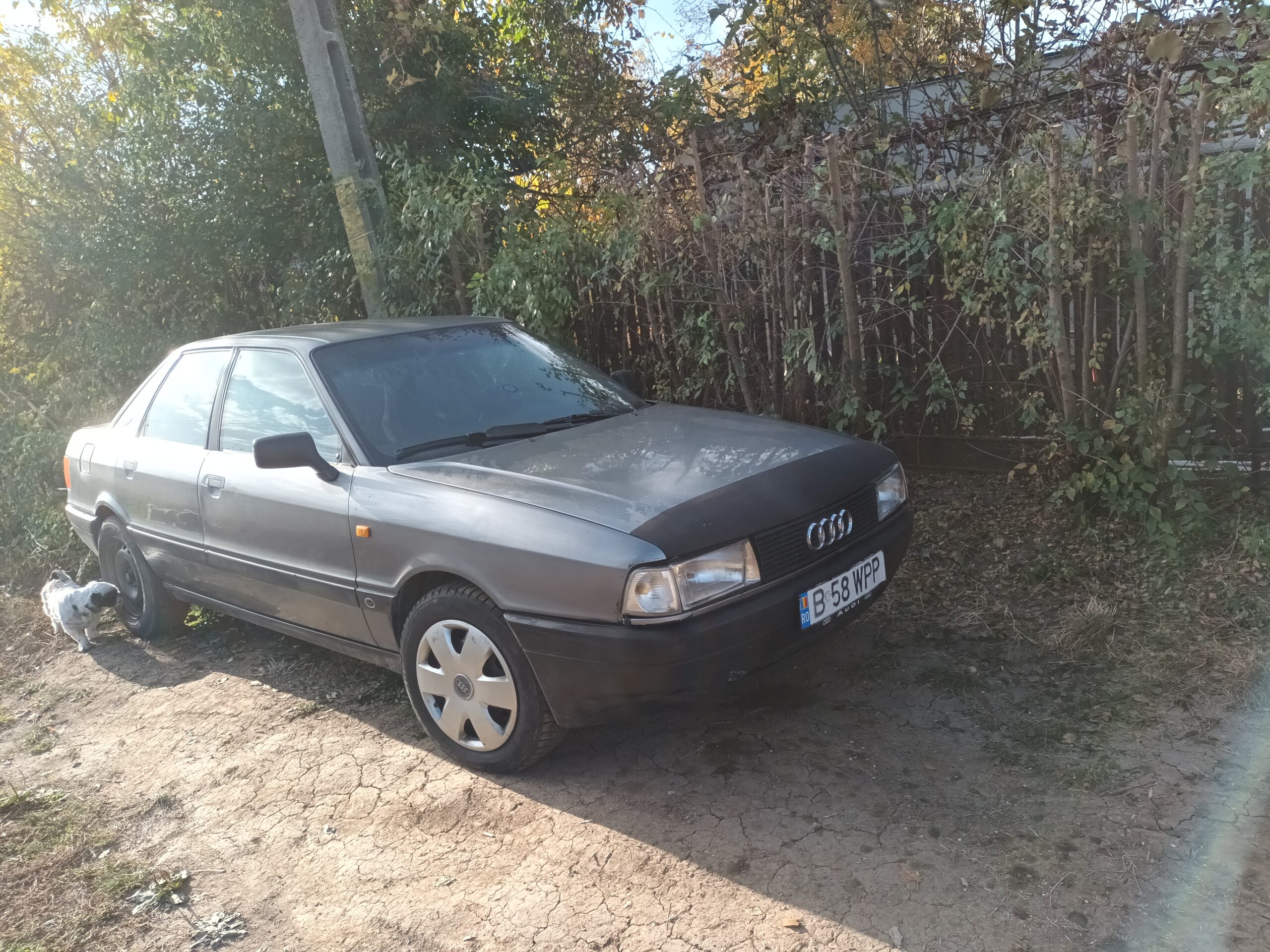 1990 Audi 80